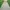 Minimalist Casual Summer dress Wanita gray yellow photo 1