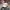 Champion Casual Hat Pria gray photo 1