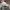 Champion Casual Hat Pria gray photo 4