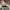 Casual Hat Pria gray photo 4