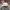 Stussy Casual Hat Pria white photo 2