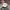 Stussy Casual Hat Pria white photo 1