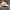 Stussy Casual Hat Pria white photo 4