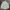 Polo Ralph Lauren Luxury Casual Formal shirt Pria green photo 1