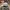 Obey Casual Hat Pria multicolor photo 2