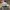 Obey Casual Hat Pria multicolor photo 4