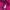 Tommy Hilfiger Streetwear Hoody Wanita pink photo 6