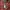 GU Streetwear Casual Parka Pria red photo 4