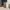 GAP Streetwear Indie Pria multicolor photo 1