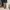 GAP Streetwear Indie Pria Multicolor