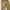 GAP Streetwear Indie Pria multicolor photo 4