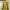 Volcom Streetwear Y2K Sweater Pria yellow photo 4