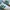 Adidas Casual Sneakers Pria white green photo 2