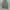 niko and ... Streetwear Y2K Casual pants Pria green photo 1