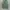 Niko And ... Streetwear Y2K Casual Pants Pria Green