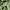 niko and ... Streetwear Y2K Casual pants Pria green photo 6