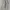 Uniqlo Casual Casual pants Pria cream photo 1