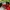 Vintage Streetwear Hat Pria white red photo 3