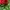 Vintage Streetwear Hat Pria white red photo 2