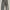 Y2K Jeans Pria Gray