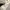 Nike Vintage Y2K Track jacket Pria white black photo 4