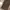 Vintage Indie Other Pria brown photo 7