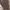 Vintage Indie Other Pria brown photo 5