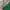 Adidas Y2K Biker Track jacket Pria white green photo 2