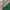 Adidas Y2K Biker Track Jacket Pria White Green