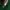 Adidas Y2K Biker Track jacket Pria white green photo 5