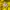 Noah Streetwear Skater Hoody Pria yellow photo 5