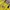 Noah Streetwear Luxury Bag Pria yellow photo 2