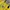 Noah Streetwear Luxury Bag Pria Yellow