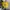 Noah Streetwear Luxury Bag Pria yellow photo 6