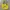 Noah Streetwear Luxury Bag Pria yellow photo 1