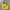 Noah Streetwear Luxury Bag Pria Yellow
