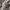Noah Streetwear Casual Sweatshirt Pria gray photo 5