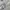 Noah Streetwear Casual Sweatshirt Pria gray photo 1