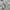 Noah Streetwear Casual Sweatshirt Pria Gray