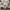Noah Streetwear Casual Sweatshirt Pria gray photo 6