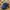 Lee Streetwear Casual Hat Pria navy photo 1