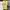 Nike Streetwear Y2K T-shirt Pria yellow photo 1