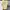Nike Streetwear Y2K T-shirt Pria yellow photo 3