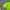 Yonex Sportswear Jersey Pria green photo 3
