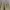 GAP Vintage Streetwear Casual Pants Pria Tan Cream