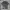 Sportswear Jersey Pria gray photo 1