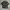 Streetwear Casual Casual shirt Pria multicolor photo 4