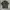 Streetwear Casual Casual shirt Pria multicolor photo 1