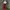 Grunge Goth Wanita red black photo 2