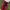Grunge Goth Wanita red black photo 6